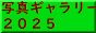 ʐ^M[QOQT